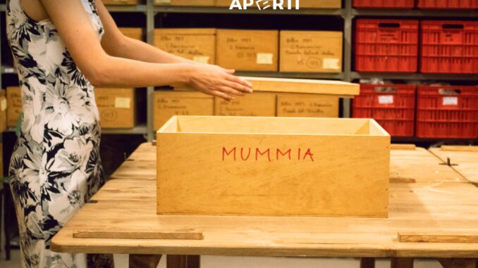 “Depositi aperti”, il 3 novembre al Museo Eusebio di Alba