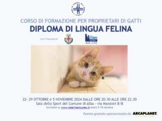 In partenza il corso di formazione per proprietari di gatti “Diploma di lingua felina”