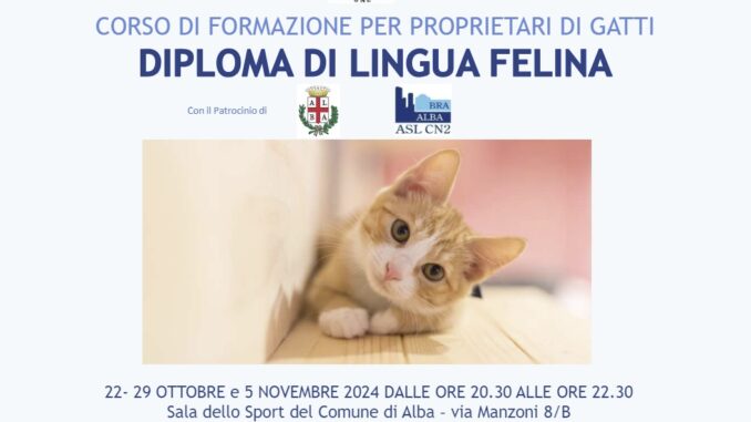 In partenza il corso di formazione per proprietari di gatti “Diploma di lingua felina”