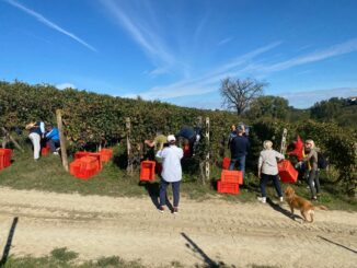 Grande adesione di adottanti alla Festa della vendemmia castagnolese