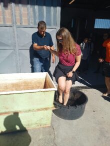 Grande adesione di adottanti alla Festa della vendemmia castagnolese 1