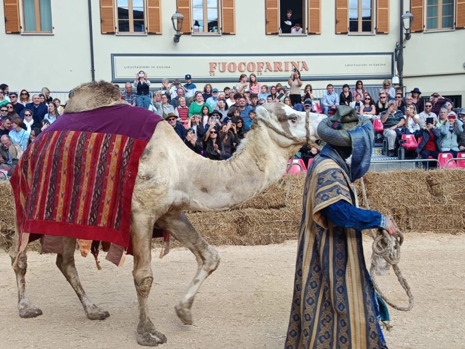 Oggi si corre il Palio: seguilo in diretta! 9