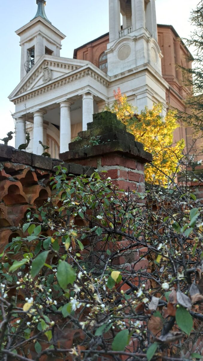 Primi fiori fioritura nel pruneto al Santuario 6