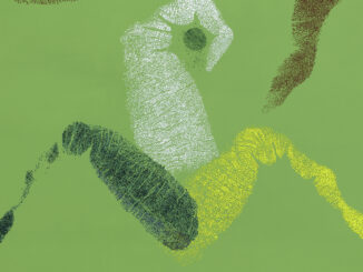 Natura, corpo, luce e azione nelle infinite impronte di Giuseppe Penone