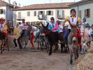 Alba: divieti di transito e di sosta per il Palio degli Asini da mercoledì 2 ottobre