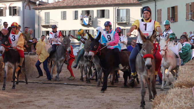Alba: divieti di transito e di sosta per il Palio degli Asini da mercoledì 2 ottobre