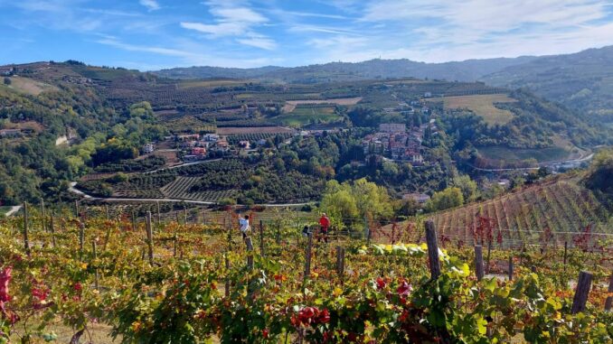 Sinio-Serralunga-1400x875 Foliage tra i vigneti: dal Borgo di Sinio al castello di Serralunga d’Alba