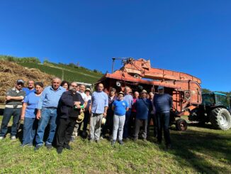 L'antica trebbiatura del grano a San Rocco Seno d'Elvio 1