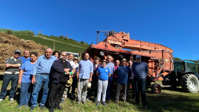 L'antica trebbiatura del grano a San Rocco Seno d'Elvio 1