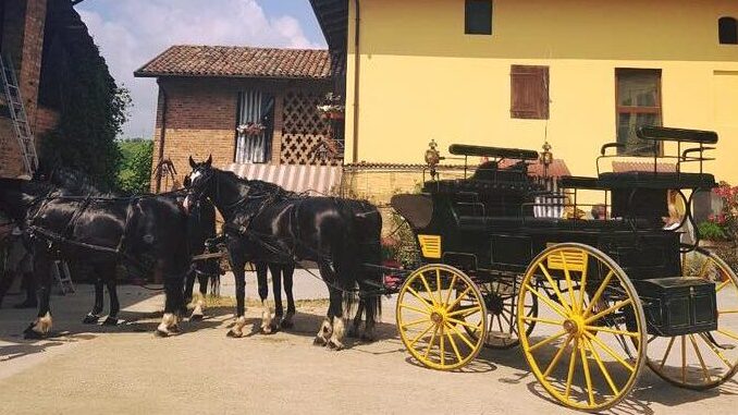 Sapori e tradizione: in carrozza sulle colline del Roero