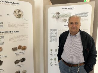 Il mondo di alberi, cercatori e tabui nel film di Schellino al cinema Moretta