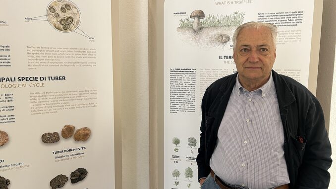 Il mondo di alberi, cercatori e tabui nel film di Schellino al cinema Moretta