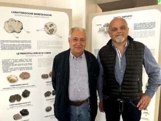 Fiera / Nella Maddalena torna il Mercato 5