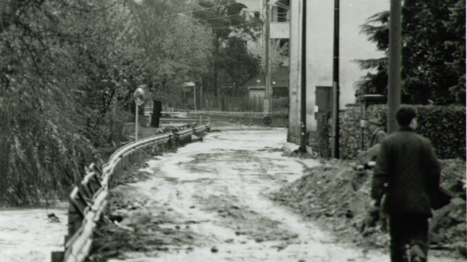 1994-2024 / Le storie: «La cascina della mia infanzia era sparita, ingoiata dalla terra, come per una magia cattiva»