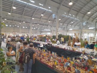 Fiera Monferrato Green Farm, da venerdì 11 a domenica 13 ottobre a Casale Monferrato