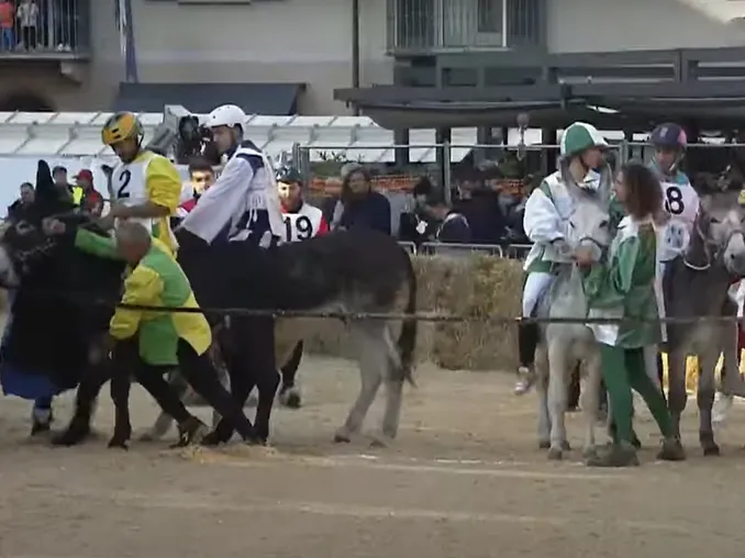 Oggi si corre il Palio: seguilo in diretta! 10