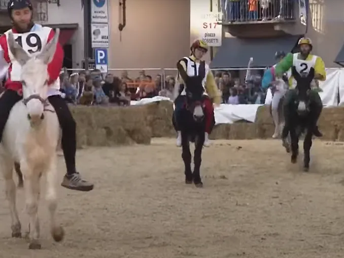 Oggi si corre il Palio: seguilo in diretta! 11