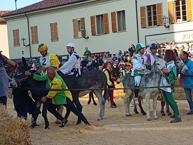 Oggi si corre il Palio: seguilo in diretta! 12