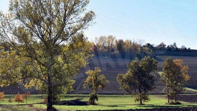 Il punto informativo forestale arriva a Dogliani, Grinzane, Cherasco e Montà