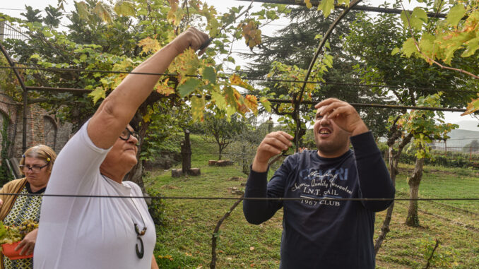 40 anni di Coesioni sociali: si festeggia il 12 novembre ad Alba 1