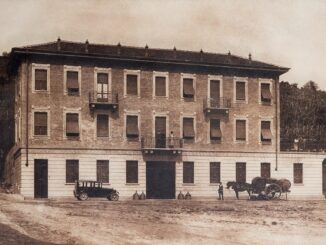 Architettura del vino: una lettura nel tempo