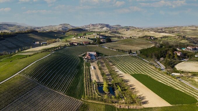 Mercato della terra / L'azienda agricola Pecchenino di Dogliani rispetta la sua terra
