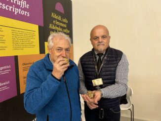 Alla scoperta delle analisi sensoriali del tartufo bianco nel podcast Speciale Fiera