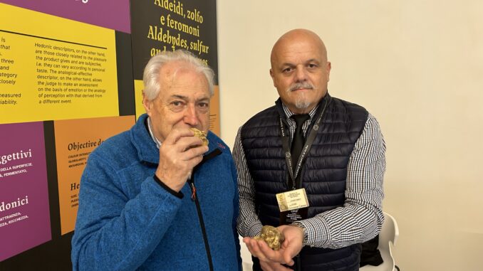 Alla scoperta delle analisi sensoriali del tartufo bianco nel podcast Speciale Fiera