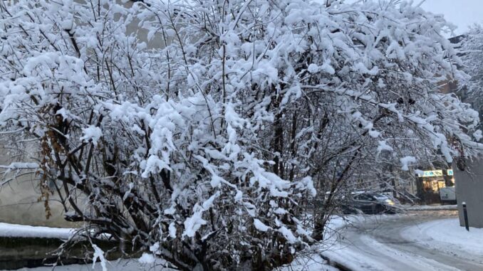 Alba: divieti e obblighi durante le nevicate, da novembre a marzo 2025
