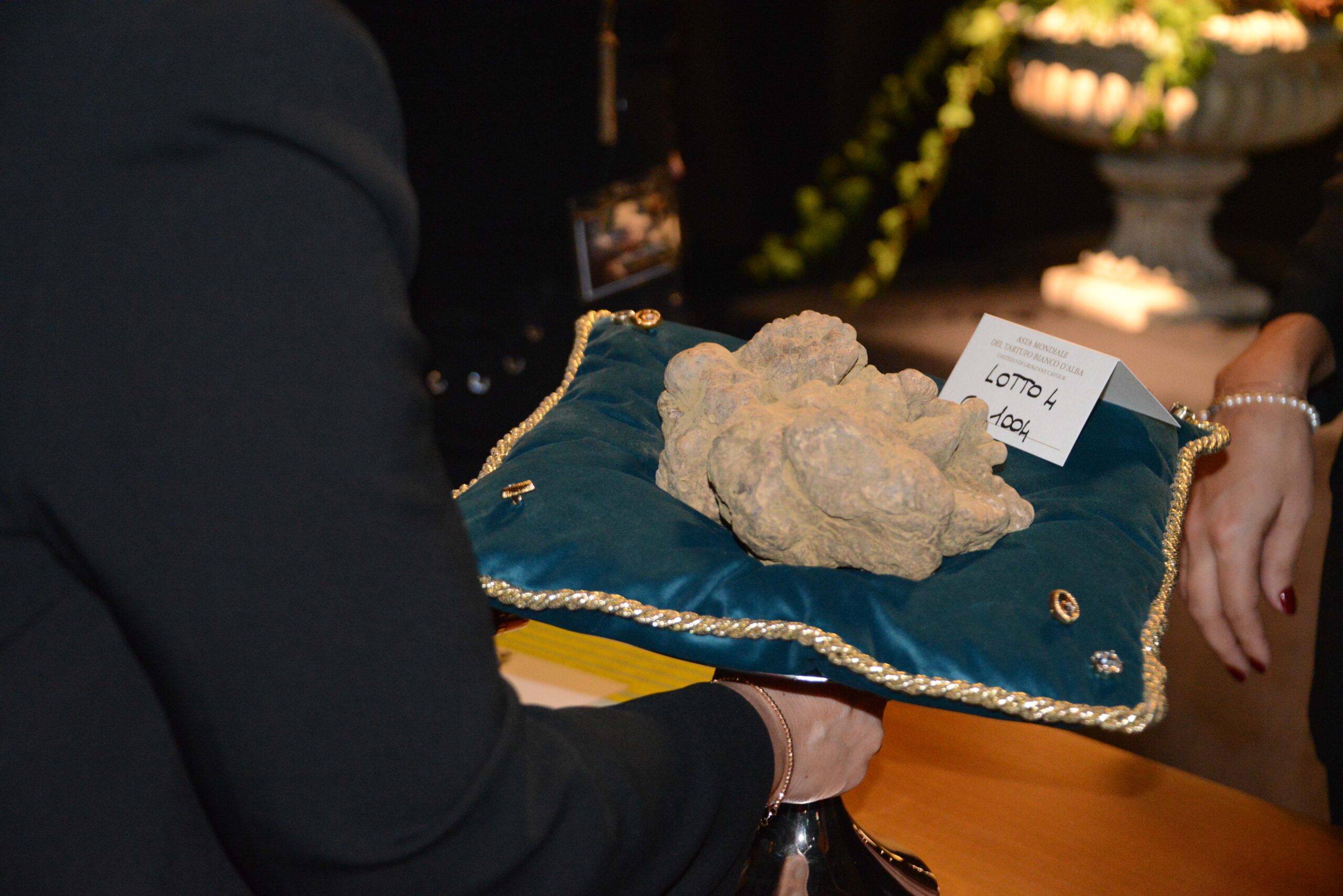 Fiera / È tutto pronto: domani l'edizione numero 25 dell'Asta del tartufo 1
