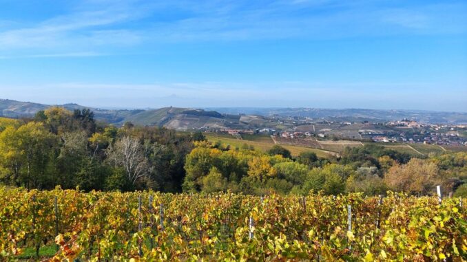 Variazioni d’Autunno: dalle colline dei grandi rossi alle colline dell’Alta Langa 1