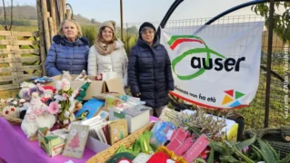 Mercatino di San Martino e Castagnata all