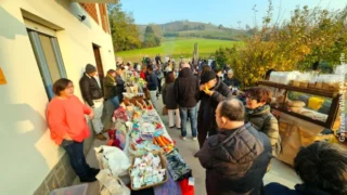 Mercatino di San Martino e Castagnata all