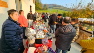 Mercatino di San Martino e Castagnata all