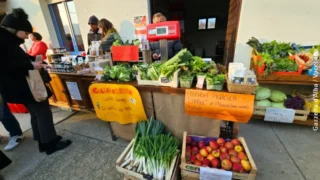 Mercatino di San Martino e Castagnata all