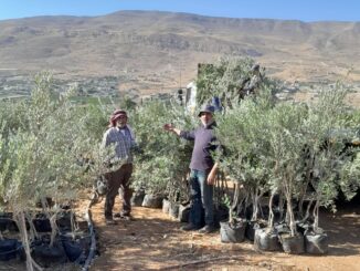 Il deserto fiorirà, il progetto che coinvolge l'associazione padre Girotti