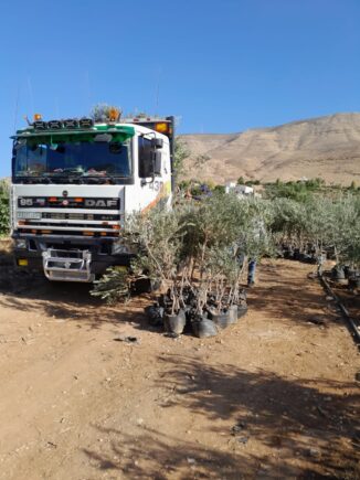 Il deserto fiorirà, il progetto che coinvolge l'associazione padre Girotti 3