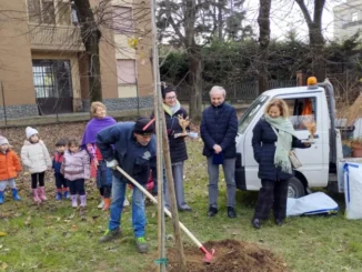 Festa dell'albero 4