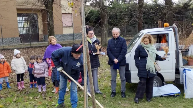 Festa dell'albero 4