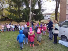 Festa dell