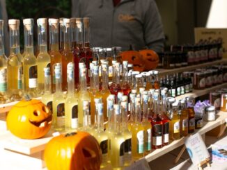Calici e forchette a Mondovì: domenica 3 novembre giornata conclusiva