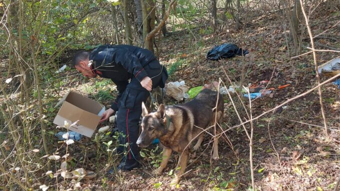Banda di spacciatori si nascondeva nella riserva regionale Valsarmassa 3