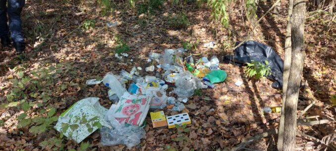 Banda di spacciatori si nascondeva nella riserva regionale Valsarmassa