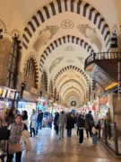 In viaggio con Gazzetta / I pellegrini arrivano e visitano Istanbul 9