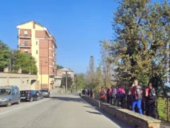 I colori sgargianti delle grandi vigne di La Morra nell