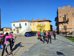I colori sgargianti delle grandi vigne di La Morra nell