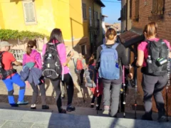 I colori sgargianti delle grandi vigne di La Morra nell