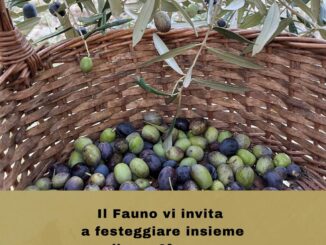 Il Fauno celebra l’olio nuovo di Castiglione (DA FINIRE MARTEDì)