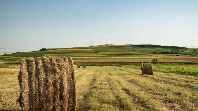 Slow food Bra propone una raccolta fondi per portare fieno in Sicilia 1