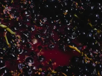 Agricoltore di Busca trovato senza vita in una tinozza di vino